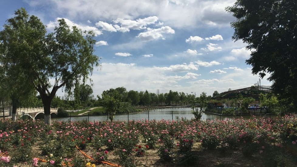 北京郁金香温泉花园度假村环境图片