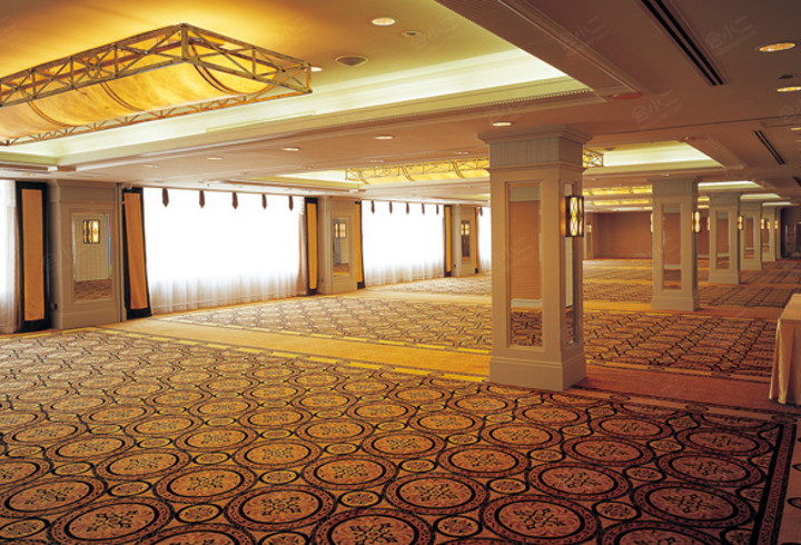 会议酒店 北京长富宫饭店 查看相册 茉莉厅 水莲厅 面积260m/容纳人数