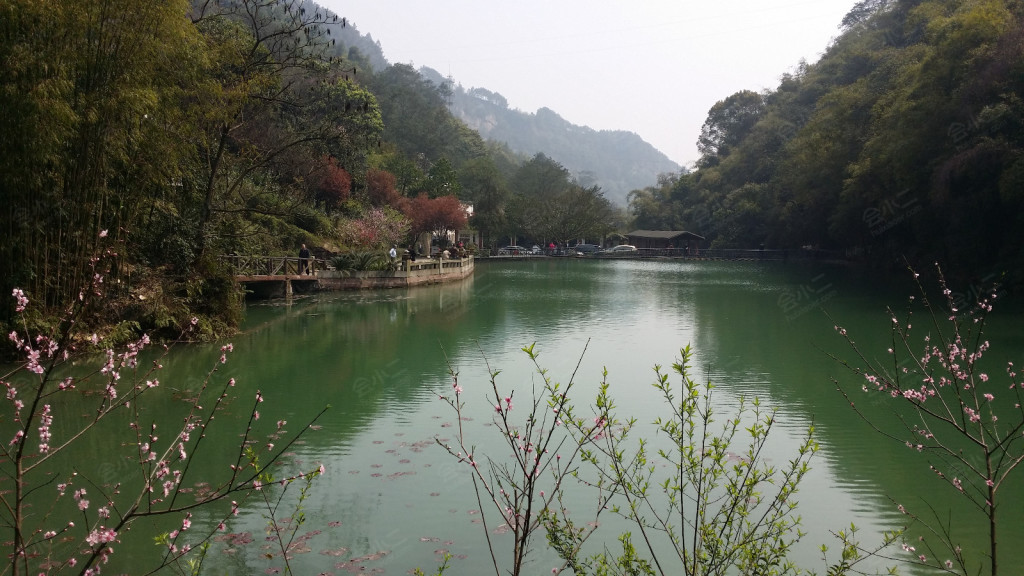 重庆永川桃花源山庄环境图片
