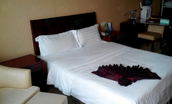胶南国旅大酒店客房图片