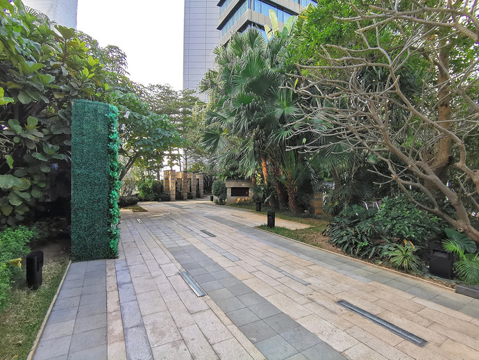 深圳星河丽思卡尔顿酒店LEAVES – 叶子吧