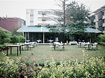 草坪