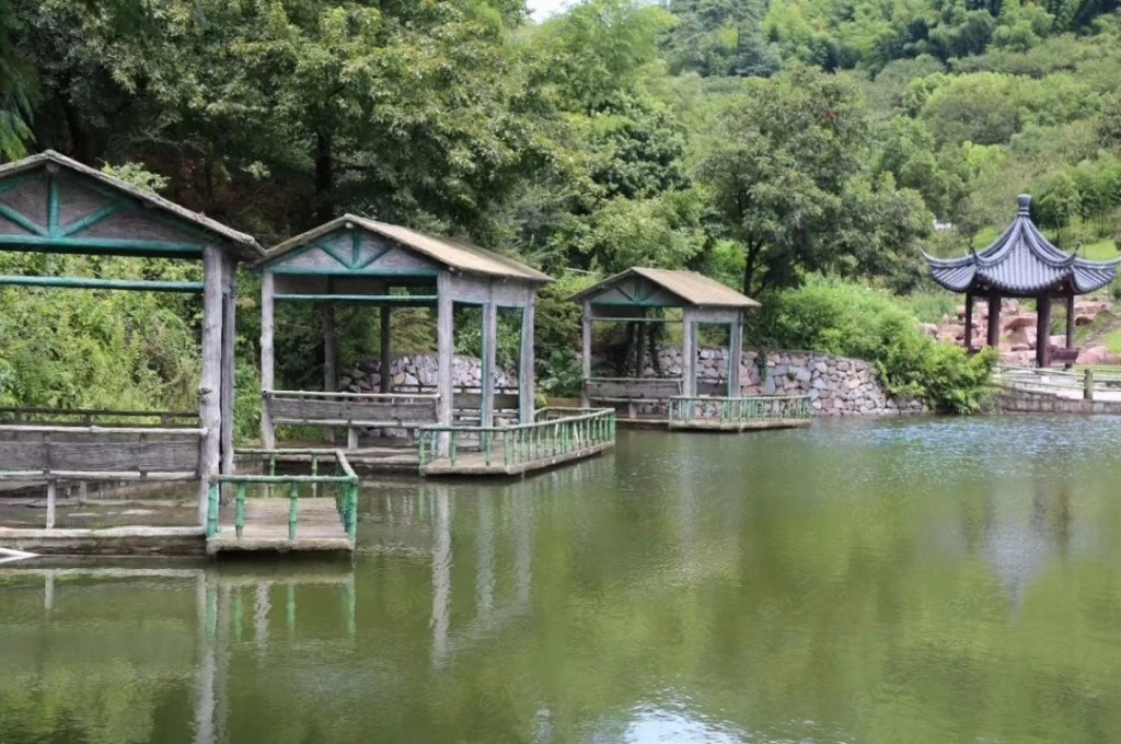 寧波綠野山居度假村環境圖片