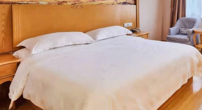 璞爵国际酒店（上海松江新桥店）豪华大床房