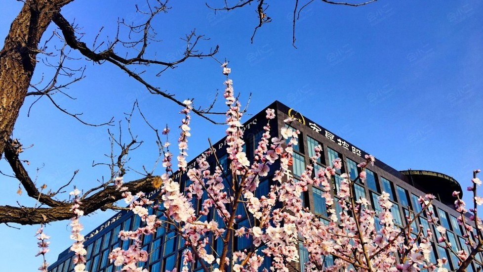 北京朗丽兹西山花园酒店(北京朗丽兹西山花园酒店电话)