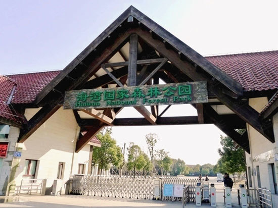上海海湾国家森林公园知青部落