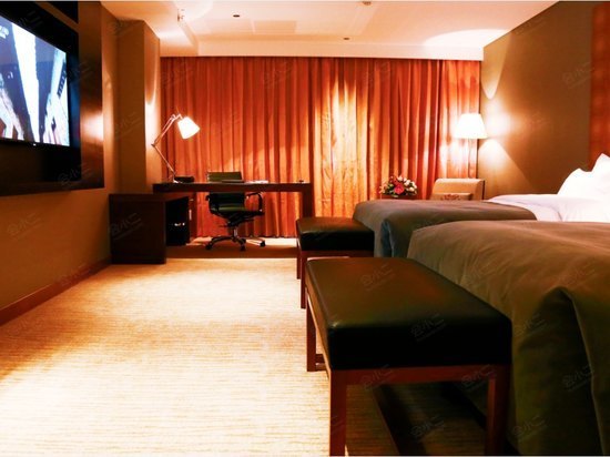 【新地酒店(南京新地仙林中心店)会议室-钻石厅b(容纳300人)】,会议