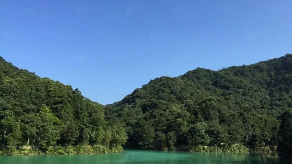 南昆山云天海原始森林度假村环境图片