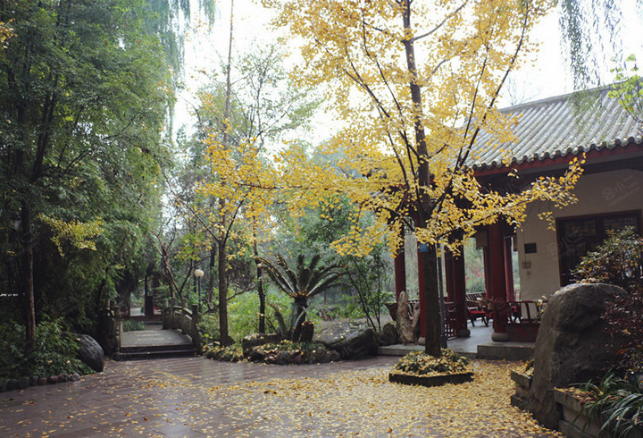 【成都御翠草堂】环境图片大全_环境图库-会小二