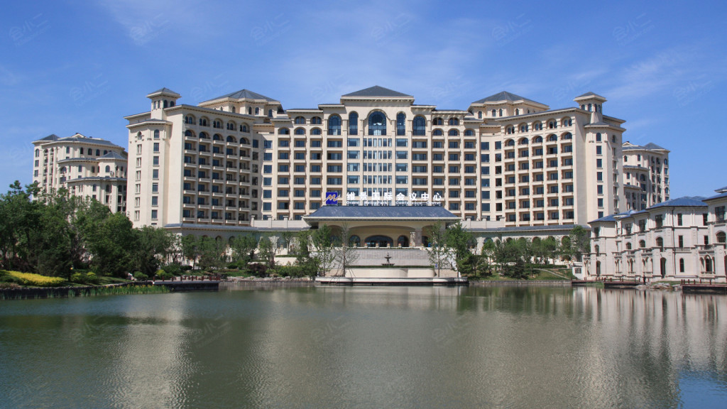 龙熙维景国际酒店图片