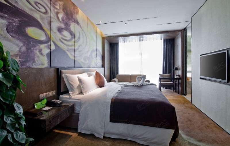 珠海棕泉水疗酒店图片