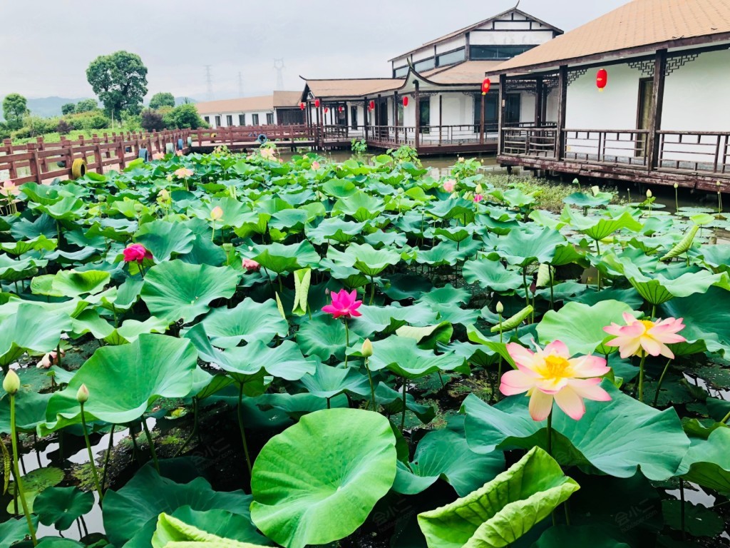 宁波天地野好生态农庄环境图片