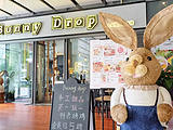 BunnyDrop白兔糖咖啡（大悦城店）