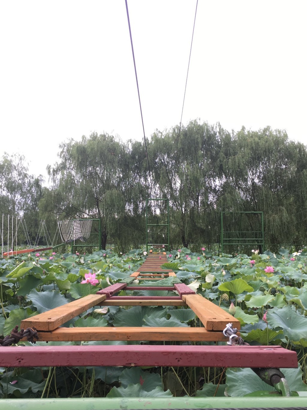 杭州琵琶湾生态园图片