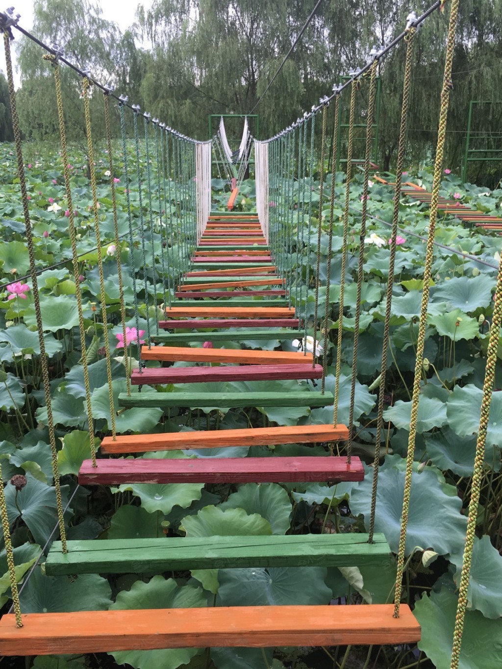杭州琵琶湾生态园娱乐图片
