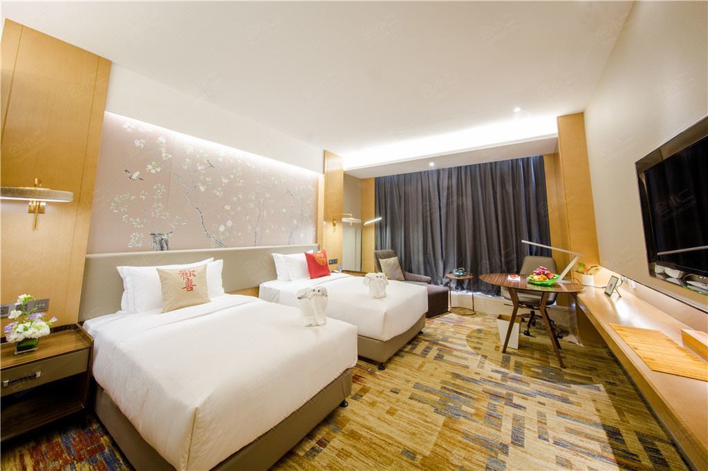 郑州华智酒店客房图片