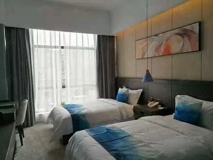 郑州棕榈树酒店棕榈双床房