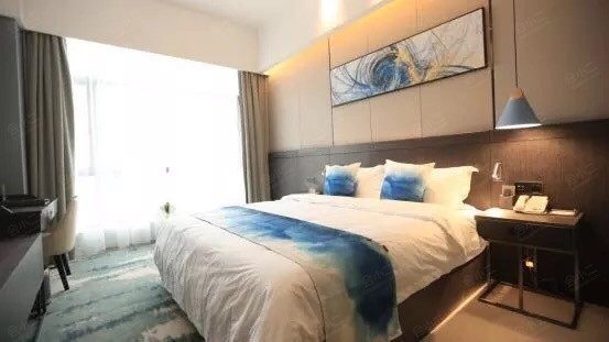 郑州棕榈树酒店棕榈大床房