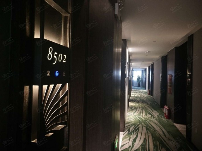 郑州棕榈树酒店环境
