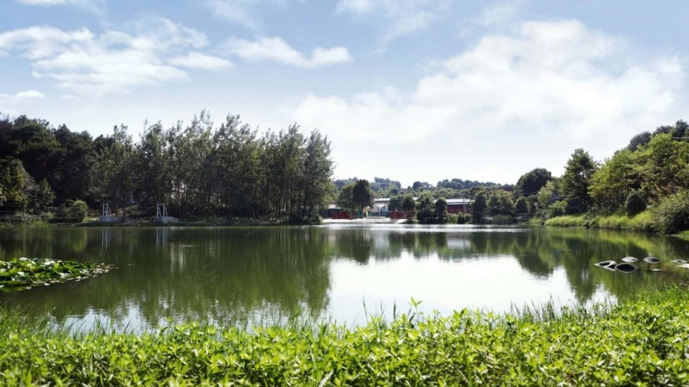 【红心教育(江夏)基地】环境图片大全_环境图库-会小二