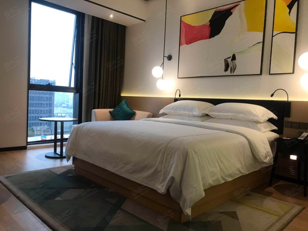 曙光薇酒店上海虹桥枢纽店图片
