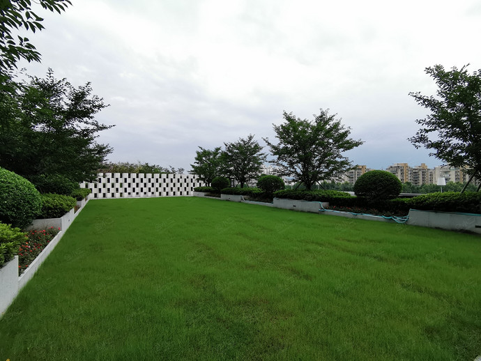 杭州远洋凯宾斯基酒店户外草坪