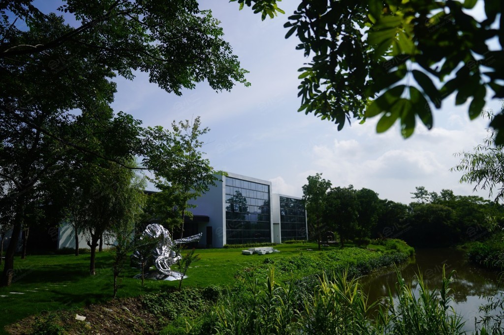 莲美术馆室外草坪