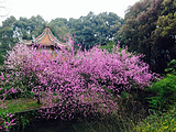 中国科学院武汉植物园