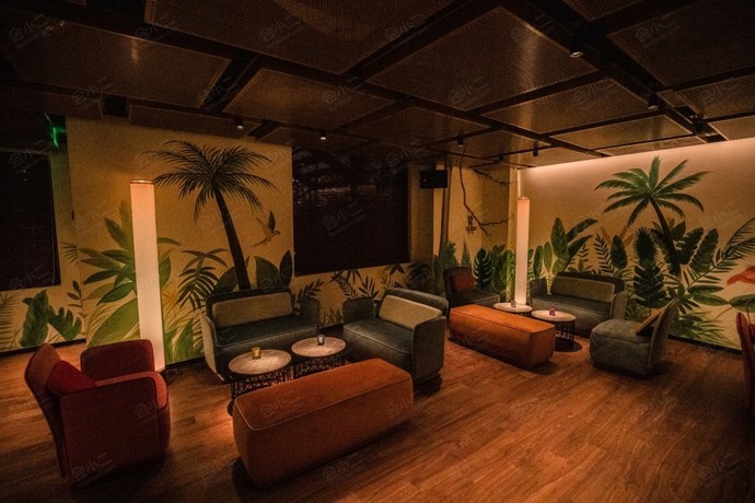Havana Chino Latino BarJungle Room