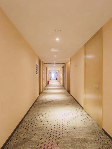 麗枫酒店（东莞寮步中心店）环境