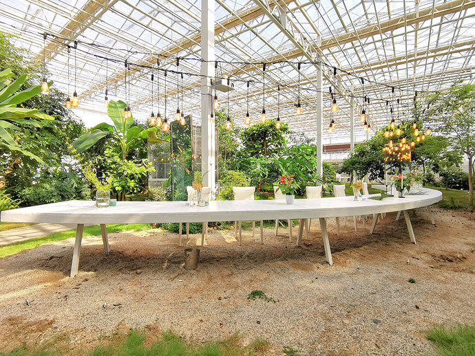 FarmIN城市森林农场绿野空间