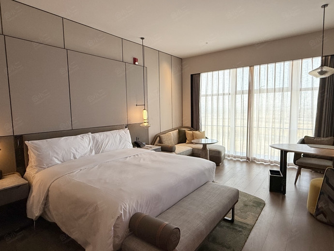 郑州航空港希尔顿逸林酒店无障碍大床房