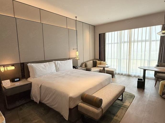 郑州航空港希尔顿逸林酒店逸林园景大床房