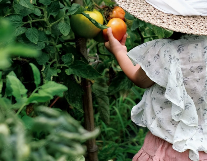 裕和夫子山居采摘
